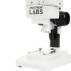 Microscopio Estereoscópico Celestron Labs S20 Microscopio Estereoscópico Celestron Labs S20