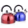 Caldera 3 L acero inox color con silbato Caldera 3 L acero inox color con silbato