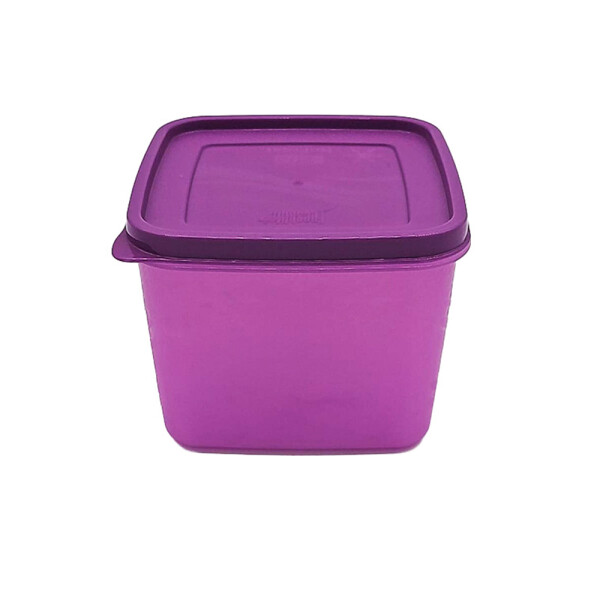 RECIPIENTE PARA FREEZER ALASKA FRESHLIFE 1,0L SURTIDO RECIPIENTE PARA FREEZER ALASKA FRESHLIFE 1,0L SURTIDO