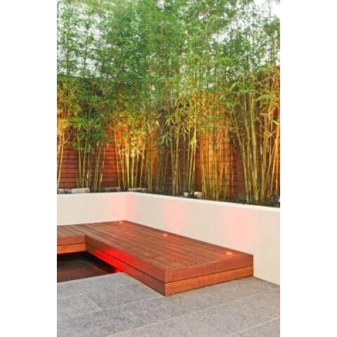 Rama de Bambú Verde y Marrón 1.8m Rama de Bambú Verde y Marrón 1.8m