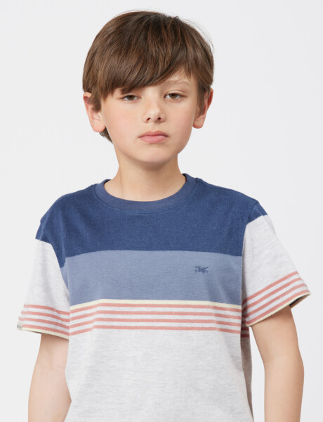 REMERA RAYADA Gris