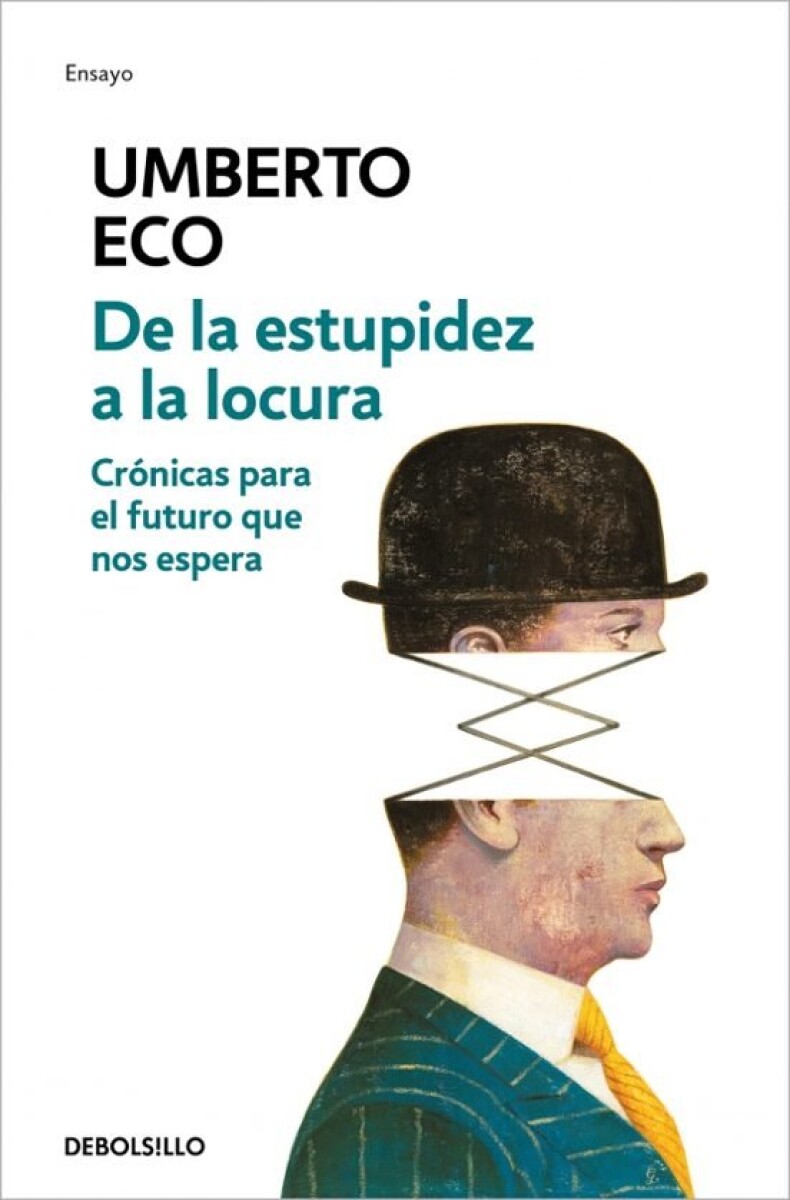 DE LA ESTUPIDEZ A LA LOCURA 