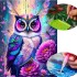 KIT DIAMANTE 5D Varios Diseños Diamant Art Atrix ® Variante Diseño Buho Violeta