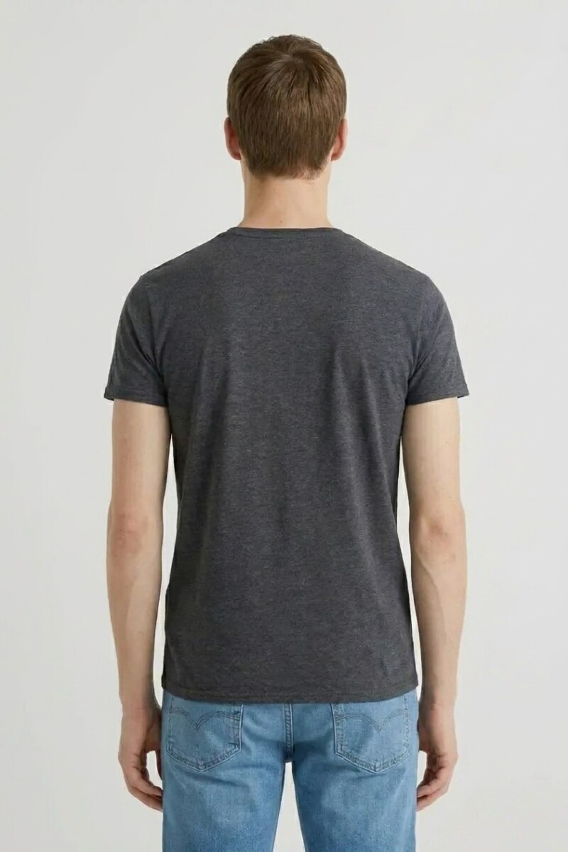 Remera cuello redondo ICONIC 150 Gris melange oscuro