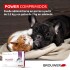PASTILLA ANTIPULGAS POWER PARA GATOS Y PERROS PASTILLA ANTIPULGAS POWER PARA GATOS Y PERROS