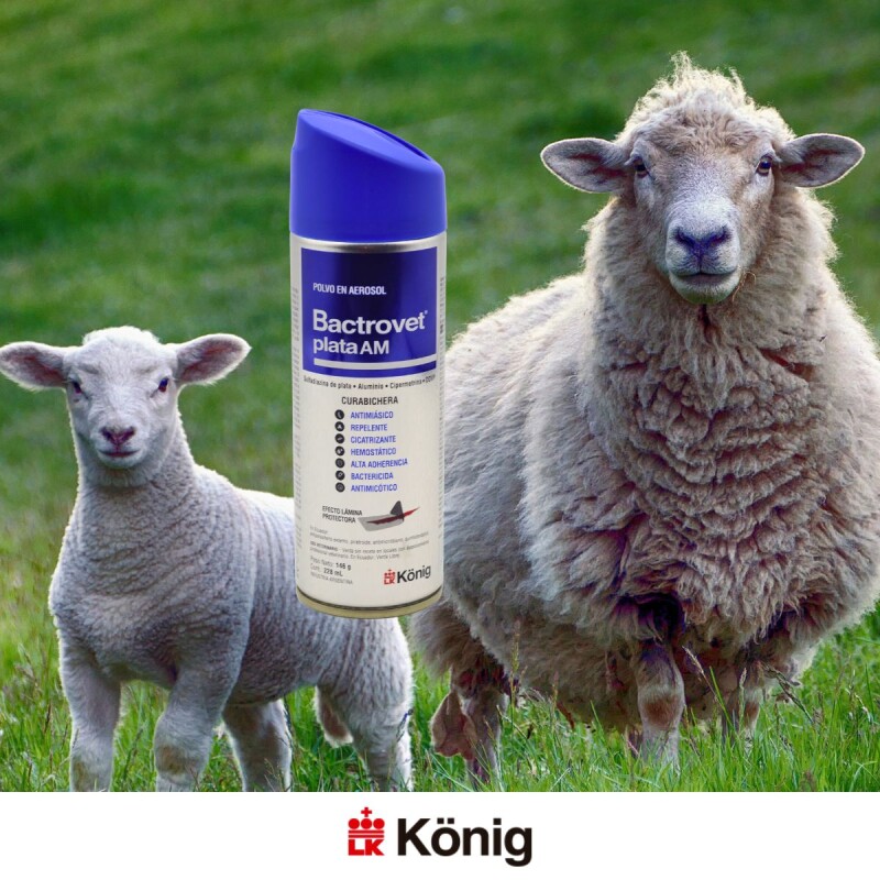 BACTROVET PLATA SPRAY 250 CC BACTROVET PLATA SPRAY 250 CC