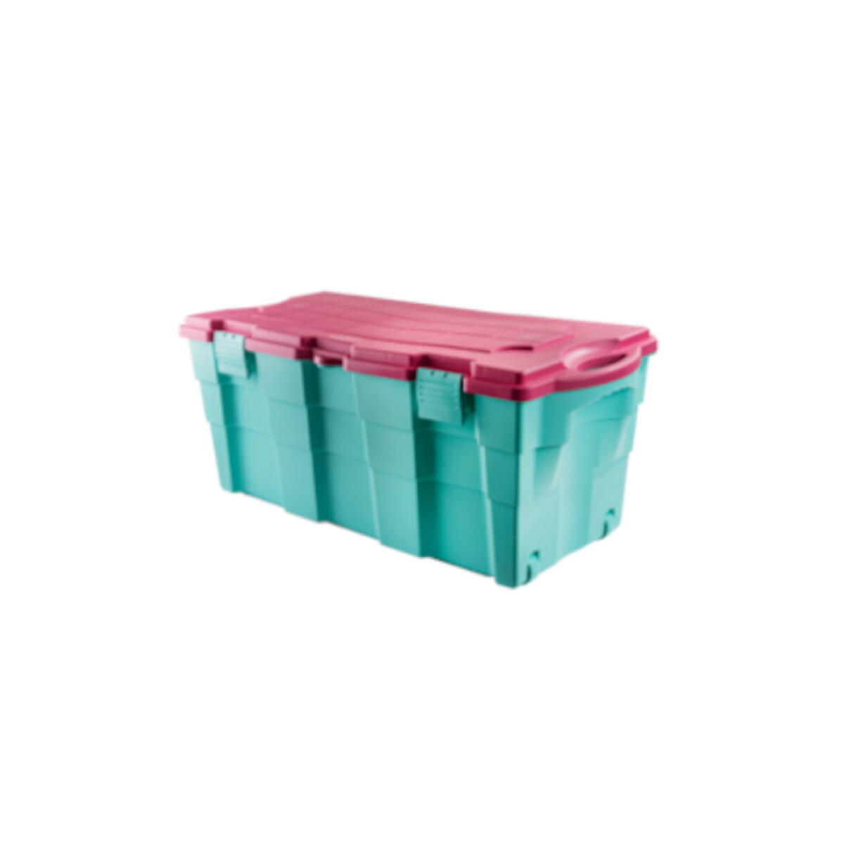 BAUL 100 LTS. VERDE/ ROSADO 94X45X40 CM. 
