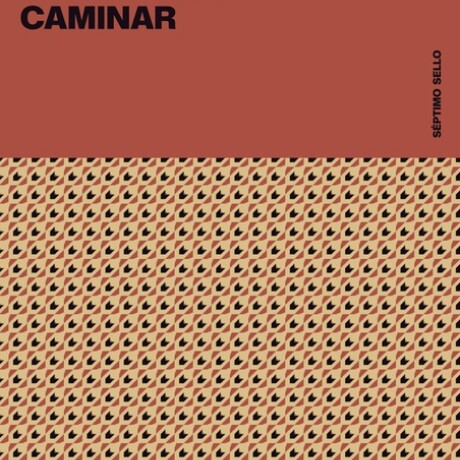 CAMINAR CAMINAR