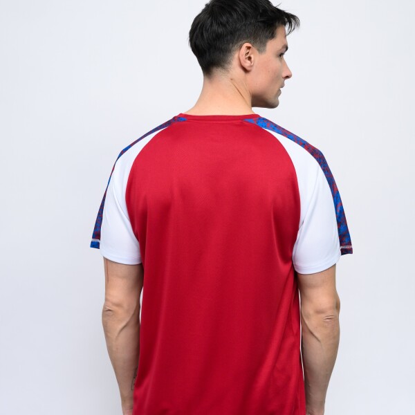 REMERA PRO TRAINING ACTIVE Nacional Hombre 00w