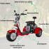 Moto Triciclo Electrico Gogreen Trike 2000W 20Ah 40km Bateri Variante Color Negro