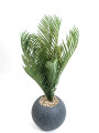 Planta Palmera 50cm Negro