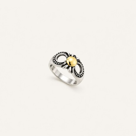 Anillo Niza - Plata y Oro Anillo Niza - Plata y Oro