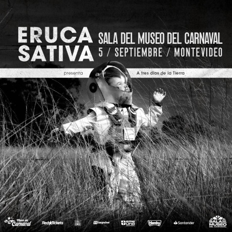 Eruca Sativa En Sala Del Museo General