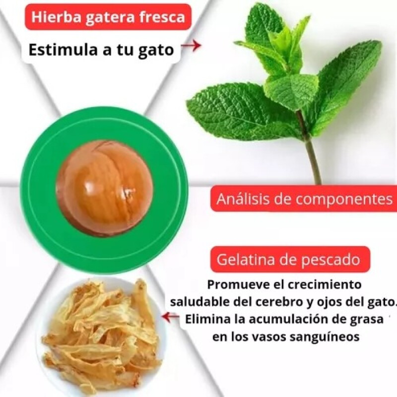 GOLOSINA PARA GATO CATNIP HIERBA GATERA GOLOSINA PARA GATO CATNIP HIERBA GATERA