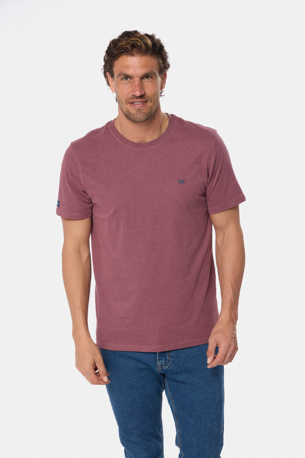 REMERA LISA DE ALGODÓN Bordo