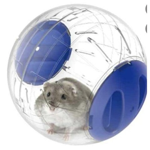 Pelota Plástica p/Roedores 16 cm Pelota Plástica p/Roedores 16 cm