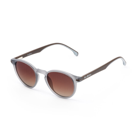 Lentes de Sol Bloom 26305 Unisex Marrón