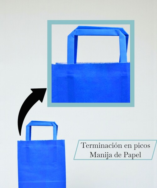 Bolsa lisa acuario 14x08x20 cm AZUL
