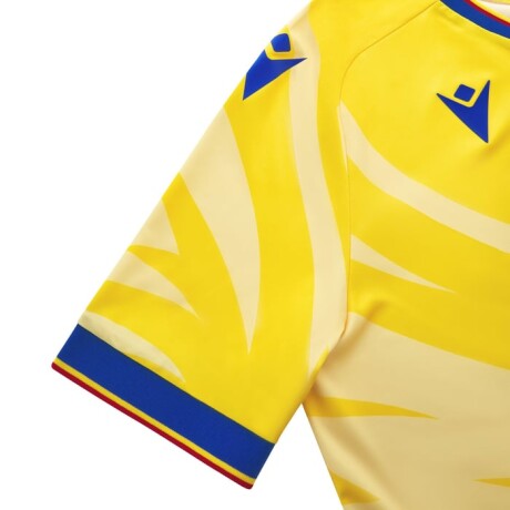 CRYSTAL PALACE FC 2024/25 EAGLE YELLOW MATCH JERSEY CRYSTAL PALACE FC 2024/25 EAGLE YELLOW MATCH JERSEY