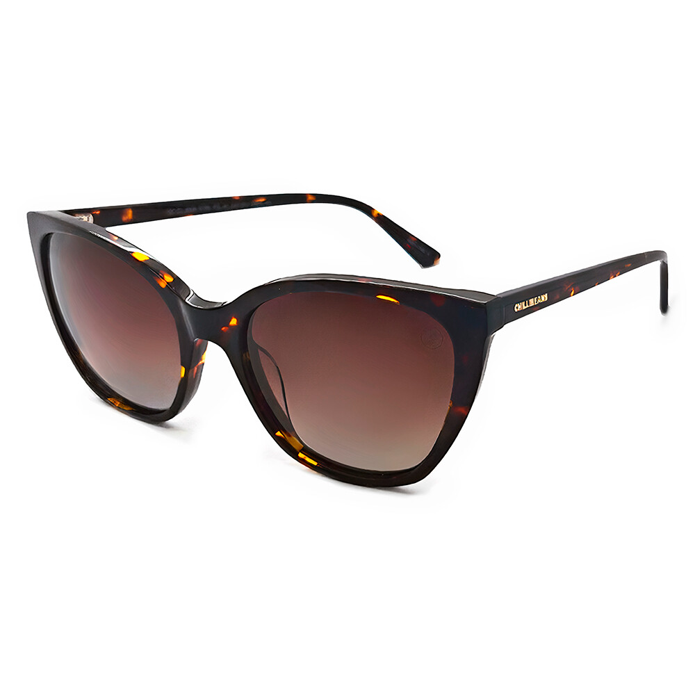 Lentes De Sol Chilli Beans Cat Gradiente Marón/Tortuga