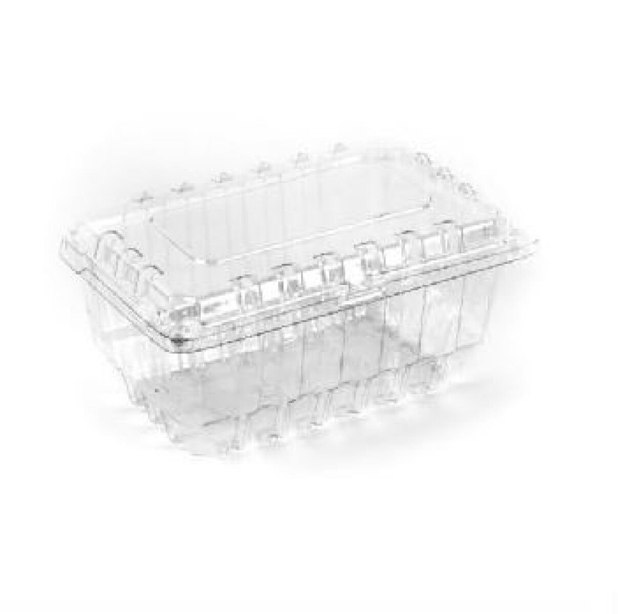 BLISTER PET CON VENTILACION PARA FRUTAS 500 GRS 19 X 11 X 9,2cm 