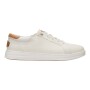 Zapatillas Paul Pro Stretch Canvas Hombre Egret/Light Grey