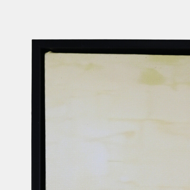 CUADRO DEC FLORES ROJAS/BCAS 60X90CM Unica