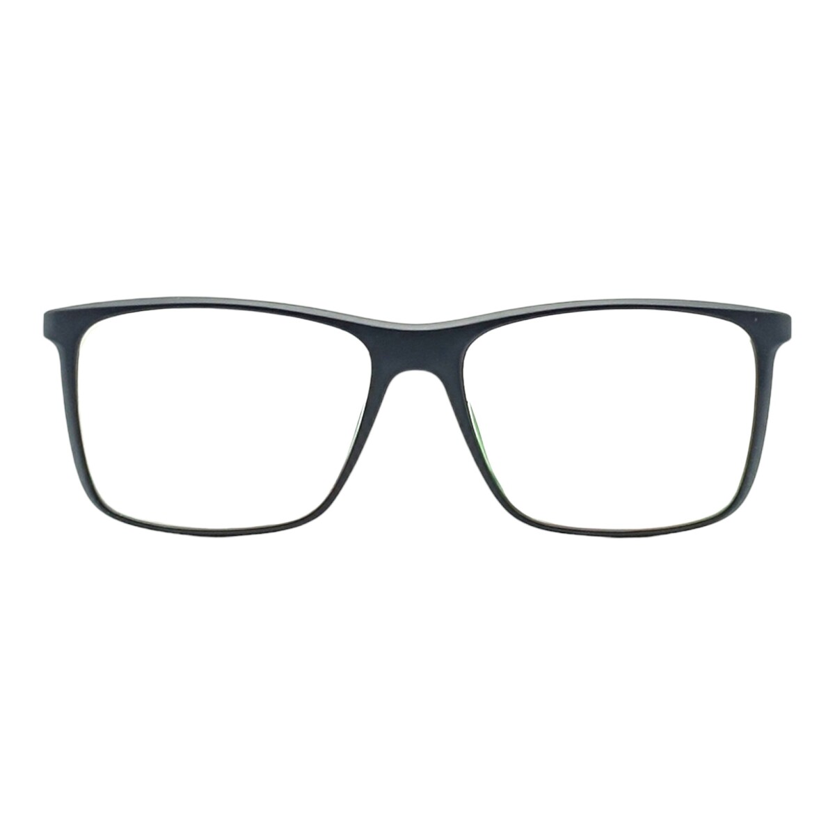 KY370720 - negrouniforme 