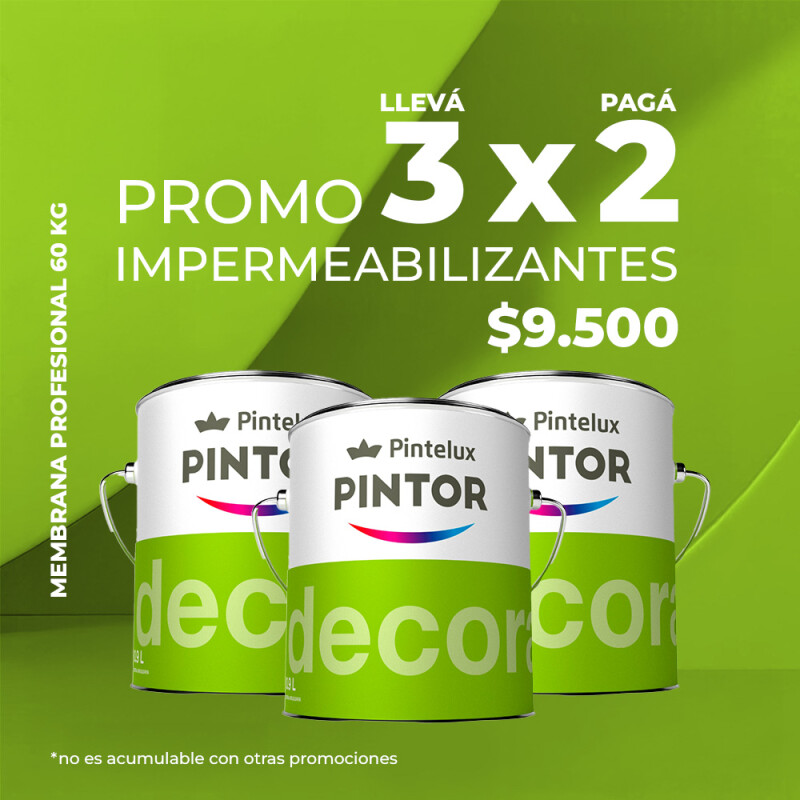 PROMO 3X2 PINTOR PROFESIONAL MEMBRANA LIQUIDA 20 KGS PROMO 3X2 PINTOR PROFESIONAL MEMBRANA LIQUIDA 20 KGS