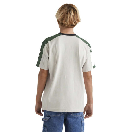 Remera de Nño Billabong Spec 73 Iconic Gris