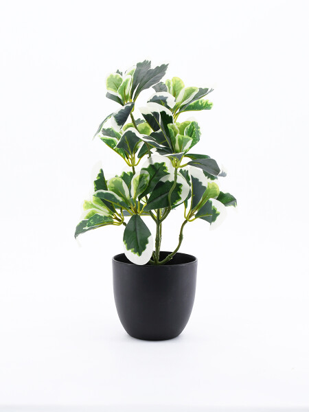 PLANTA CON MACETA 30 CM (9) VERDE