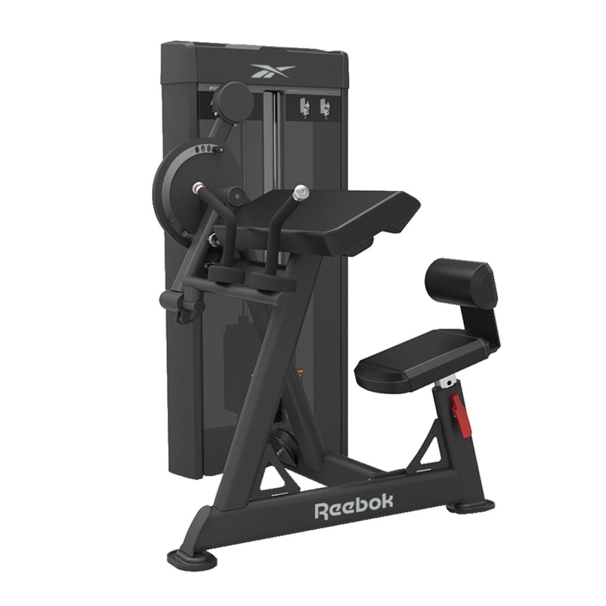 Biceps Curl/Triceps Extension 95kg 