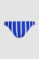Vedetina basica est. Blue stripes