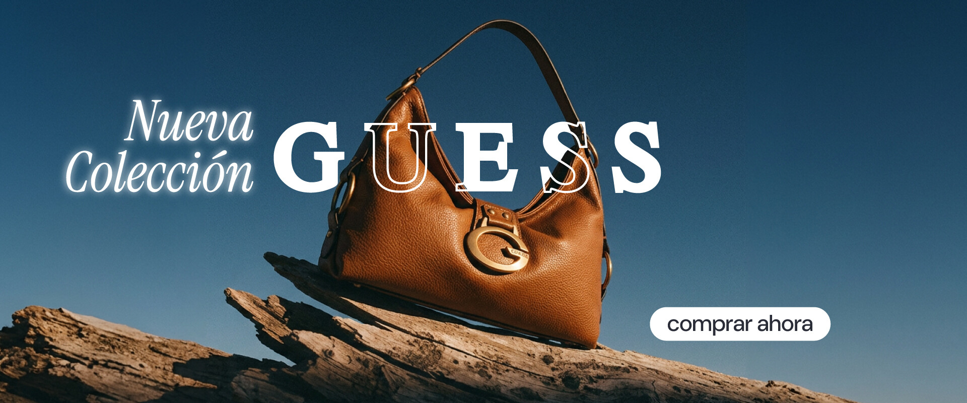 HS Guess