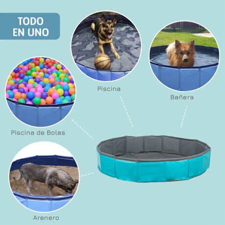 Piscina Plegable Para Mascota 160x30cm PVC Estable y Segura Celeste