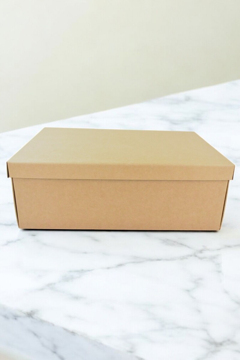 Caja+tapa easy 45,5x32x15 cm. - AVANA 