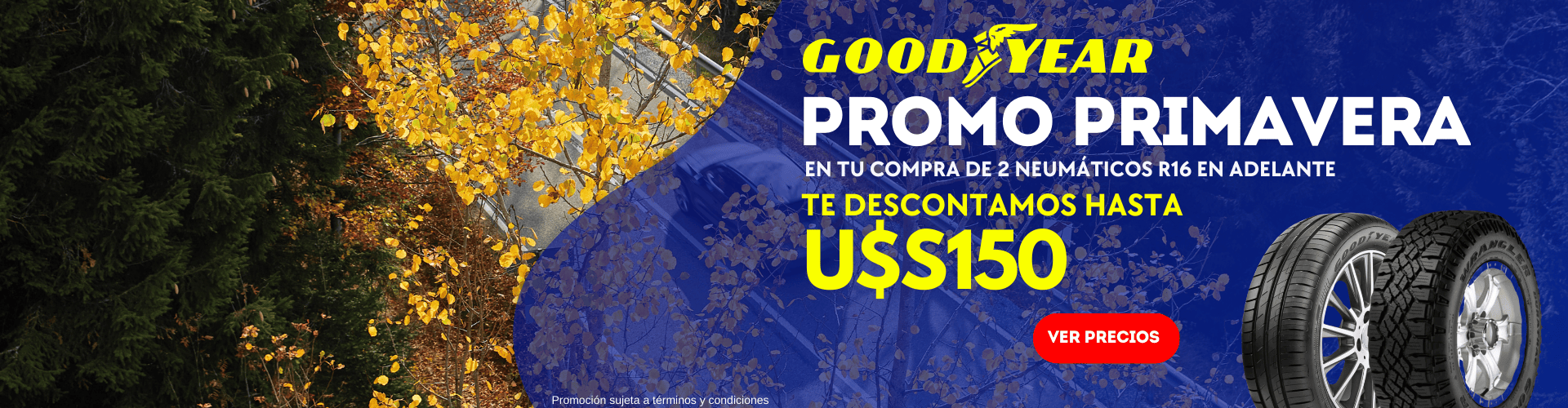 Promo primavera - Goodyear