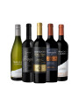 Pack Bacán Selección Top 50 Forbes Mix x5 vinos Pack Bacán Selección Top 50 Forbes Mix x5 vinos