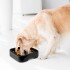 Plato Come Lento Mascota Grande Comedero Alimento Perro Gato Color Variante Azul
