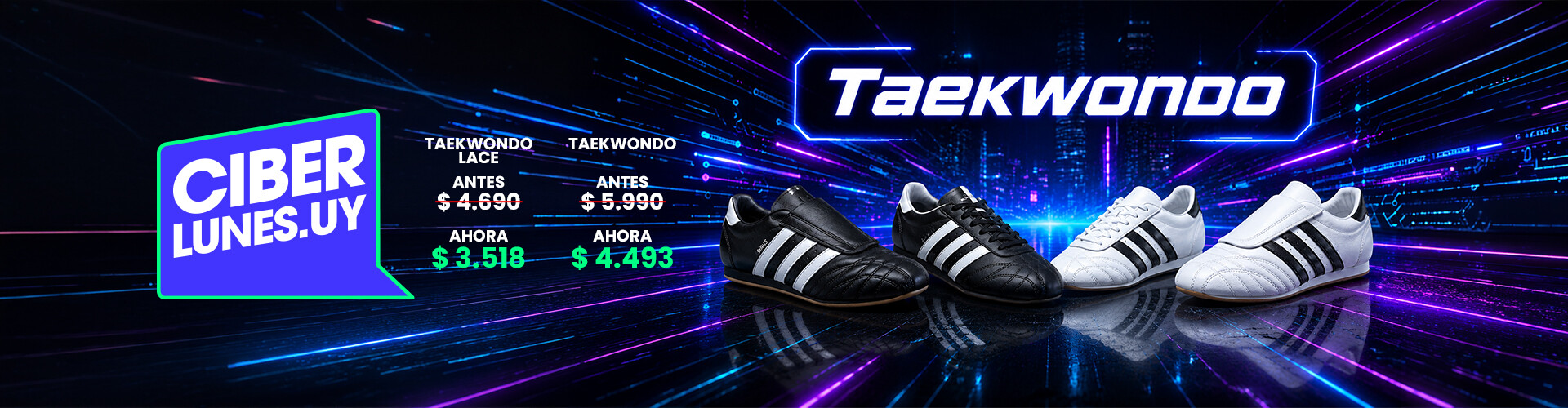 CIBER LUNES TAEKWONDO