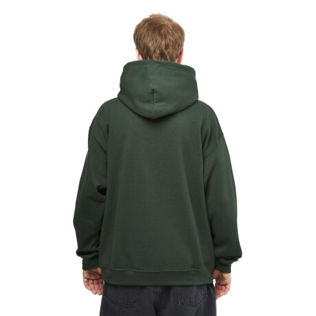 Canguro Thrasher Anti Hero - Verde Canguro Thrasher Anti Hero - Verde