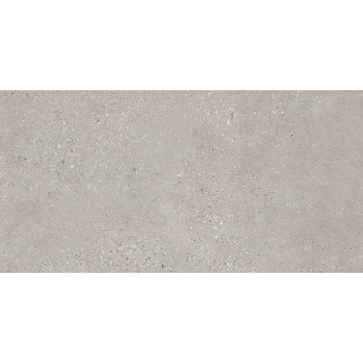 Porcelanato Rectangular 60X120 Mate Gris Cemento Rectificado 