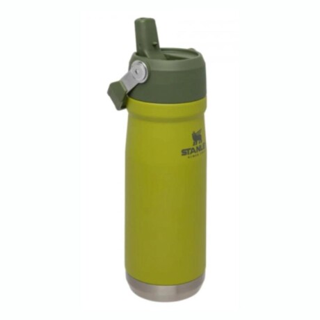 BOTELLA STANLEY CLASSIC FLIP 650ML Botella STANLEY Classic Flip Térmica Capacidad 650Ml - Aloe