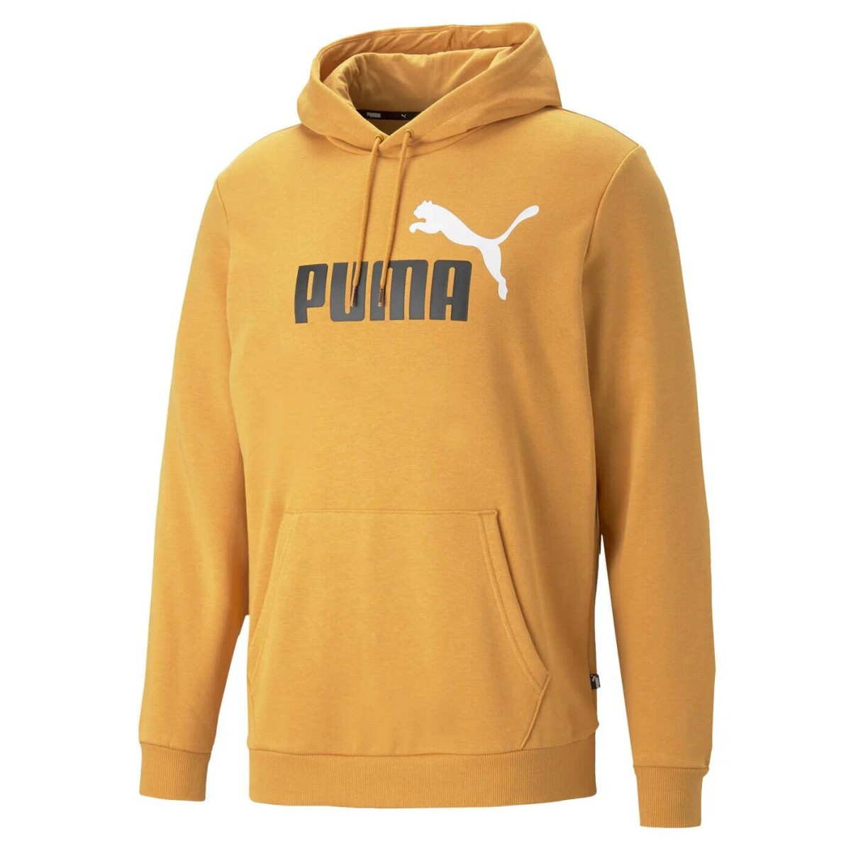 Buzo Puma Essentials+ 2 Color Big Logo Hoodie 