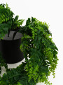 HELECHO COLGANTE VERDE