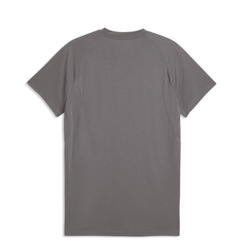 Remera de Hombre Puma Peñarol Evostripe Tee Gris - Amarillo