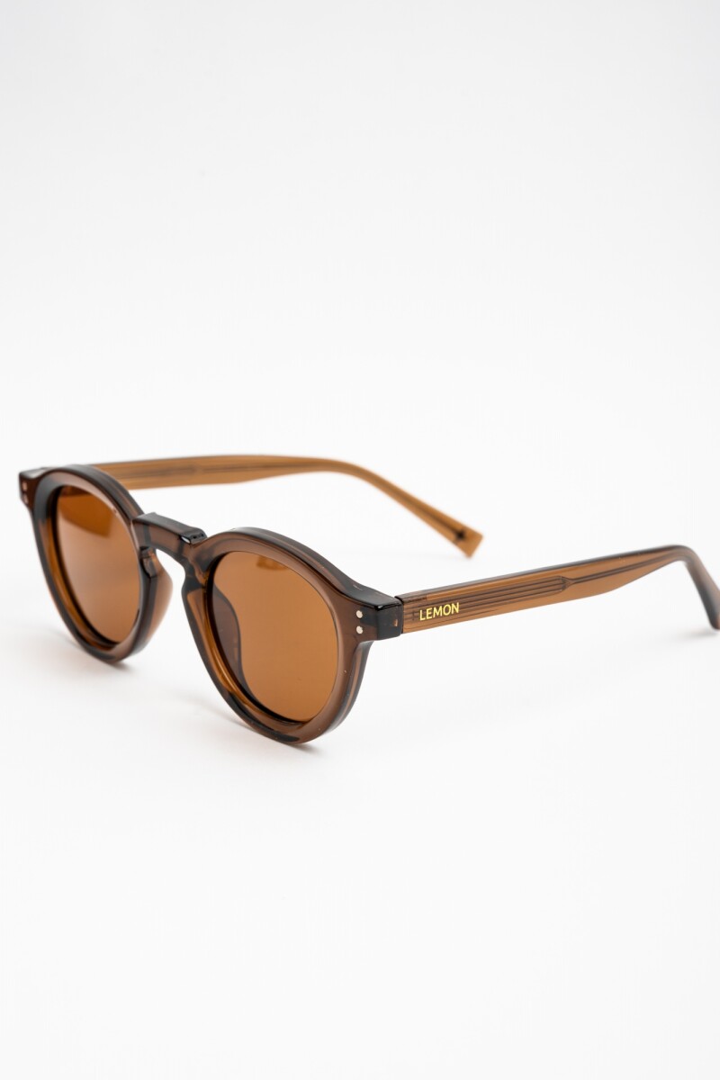 Lentes De Sol Polarizados Marron