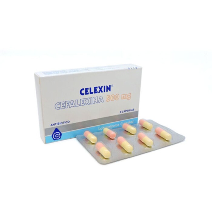 CELEXIN 500 CJ X 8 CAPSULAS única