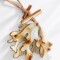 Collar Colores 5
