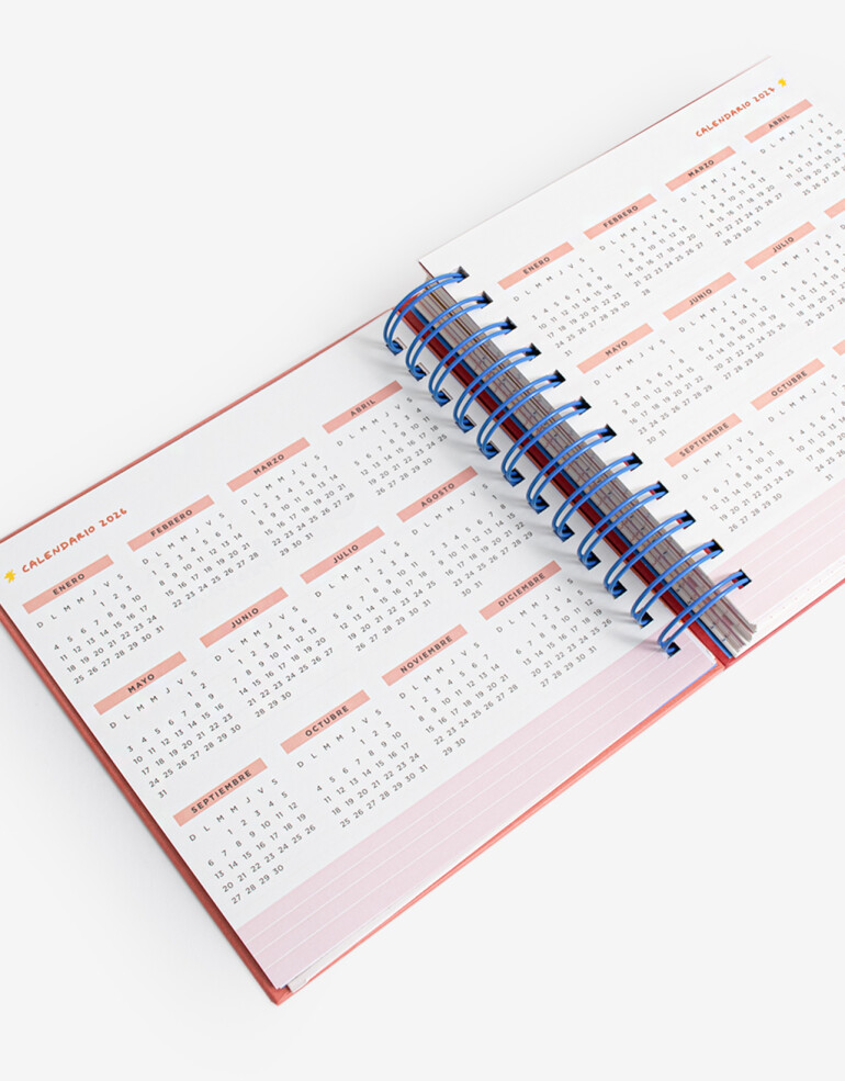 Agendas y Calendarios Agendas Agenda Diaria 2026 - Combinacion Multicolor